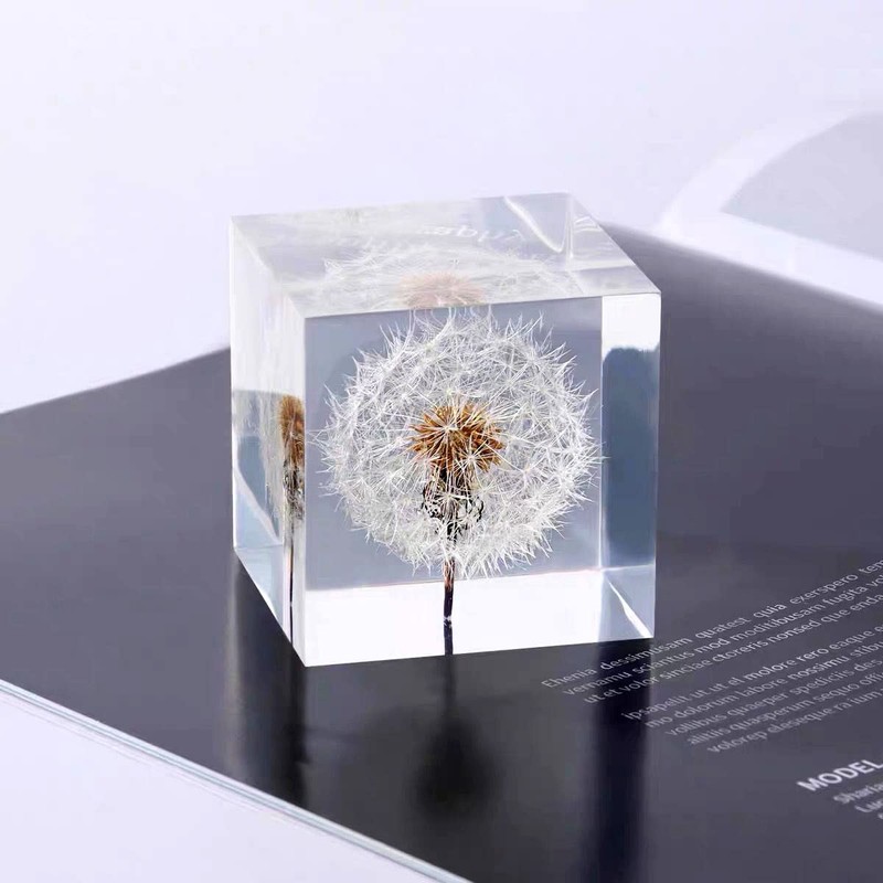 DESHINTKE Cube Dandelion Specimen Paperweight with Wood Box, 2 inch