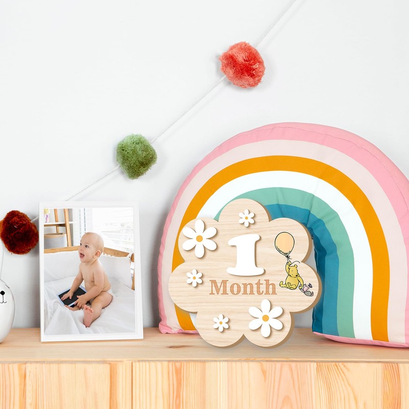 Baby Shower Decorations-Baby Monthly Milestone Signs-Baby Announcement Sign- Monthly Baby