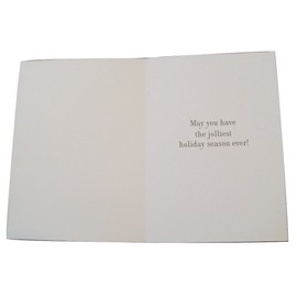 Classic Christmas Card 9 Pack ~ Santa, Believe in the Magic of Christmas (5" x 7"; White Envelopes; 9-1)