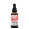 Cordyceps Alcohol-Free Natural Tincture Extract, Immune System Booster, Liquid Drops