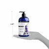 ApotheCARE Essentials The Detox Blend Body Wash Eucalyptus 16 oz
