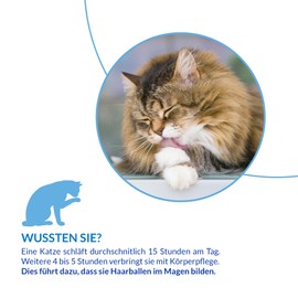 INABA INABA Churu Hairball Control Cremige Premium Katzenleckerlis mit Taurine und Vitamin E, Huhn 56 g (1er Pack)
