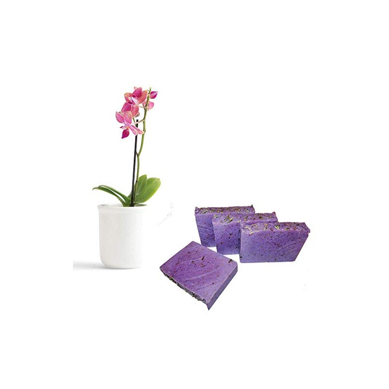 KIT 4 JABONES ARTESANALES en BARRA NEUTRO LAVANDA