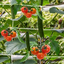 Mellbree Trellis Netting for Climbing Plants, 2Packs Heavy Duty 16.4x6.6FT Trellis Net for Climbing Plants Outdoor, Cucumber, Tomatoes, Peas, Vegetable and Vine