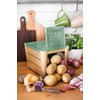 Snips Potato and vegetable container, brown and green, 3 kg,
