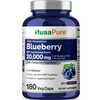 NusaPure Blueberry Concentrate 30:1 Extract, 667 mg Equivalent to 20,000