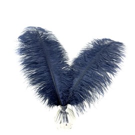 Happy Feather 16-18 inch Navy Blue Ostrich Feathers Craft for Wedding Party Centerpieces Home Decoration DIY Craft Pack of 10
