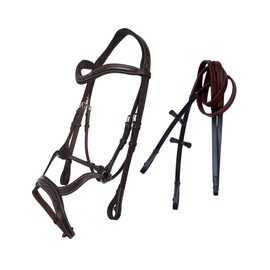 ExionPro Innovative Combined Flash Unique Cut Anatomic Padded Bridle & Reins