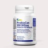 ALLBE ProbioCan 100 Billion CFU, 60 Probiotic Capsules with Lactiplantibacilus