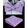 Alizeal Mens 2pcs Self-tied Paisley Bow Tie and Pocket Square