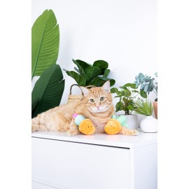 pearhead Prickly Plants Cat Toy Set, Cute Catnip Toys, Plush Cactus Interactive Chew Toys, Pet Owner Must Have Catnip Toys, Set of 2 Plush Toys