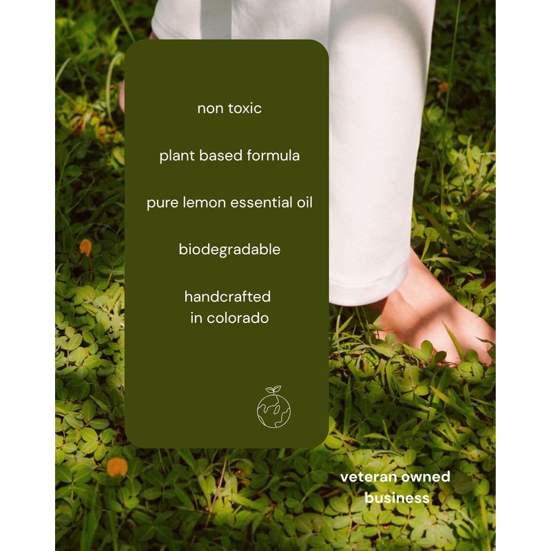 Steve's Cleaners Plant-Based Multi-Surface Cleaner – Streak & Residue-Free All-Purpose