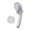 Takagi JSB333 Shower Head Showerhead Shower Pita Miz-e Chlorine Removal