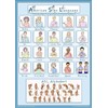 Tiger Moon American Sign Language - Basic Signs & Alphabet