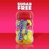 Mentos Sugar Free Gum, Red Fruit Lime, 50 Piece Bottle,