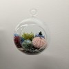 WGV Hanging Terrarium Globe, Width 8", Height 9", DIY Air