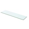 vidaXL 2X Shelves Panel Glass Sheets Plates Display Racks Shelving