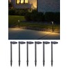 LEONLITE 2CCT Solar Landscape Pathway Lights Outdoor, 50/100% Dimmable, Auto