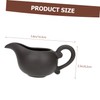 Ipetboom Ceramic Creamer Pitcher for Milk Sauce Spices Elegant Design