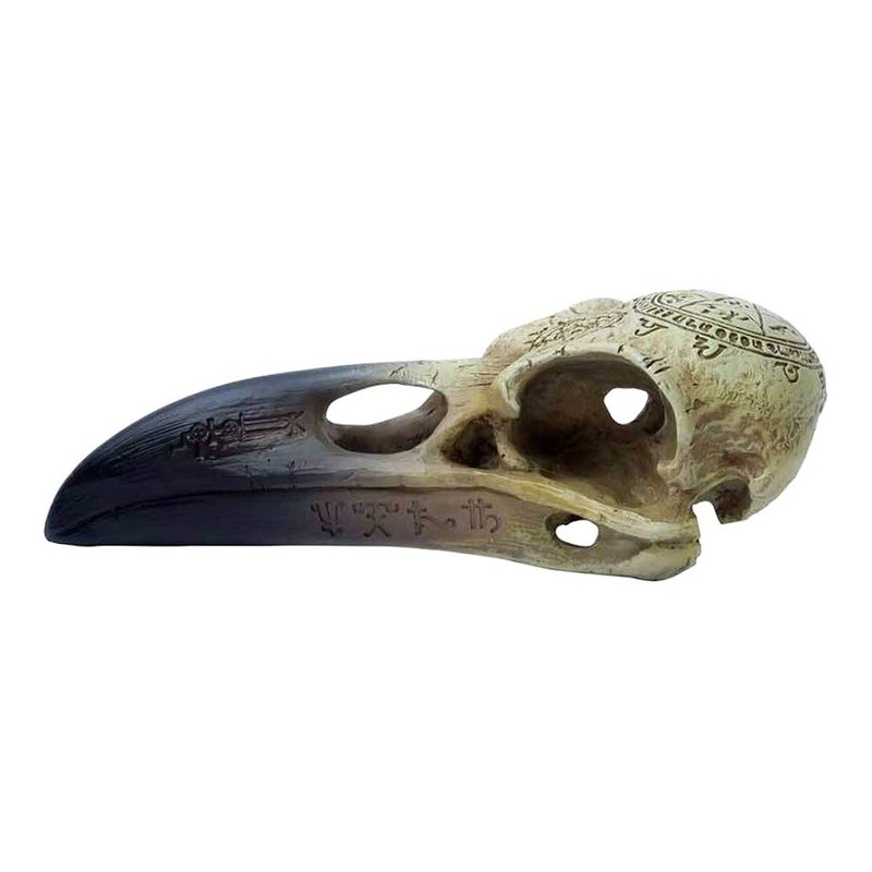 Omega Raven Skull