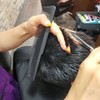 Professional Hairdressing Cutting Comb with Good Grip Comb 2ea