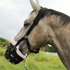 T TEKE Nano-Duro II Deluxe Horse Grazing Muzzle with Fleece