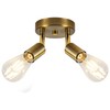Ceiling Light Fixture, 2 Bulbs, Gold Finish