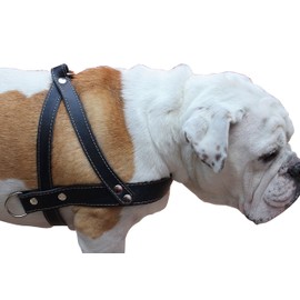 Genuine Black Leather Dog Pulling Walking Harness Large. 31"-35" Chest, 1.5" Wide Straps