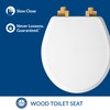 Mayfair Bennett Toilet Seat with Brushed Gold Hinges, Slow Close