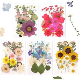 Gugxiom Flores Prensadas Secas para Resina, 5 Bolsas de 100 Piezas de Flores Prensadas, 5 Temas de Colores, Flores Secas para Arte de Uñas, Resina, Diseño de Joyería de (Tipo 4)