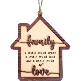 Family Ornament, Family Christmas Ornament, Christmas Ornaments 2025 – Wooden House-Shaped Holiday Keepsake, Funny Quote Gift, A Whole Lot of Love Tree Decoration, Home Themed Ornament