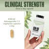 NutraBio Ashwagandha KSM-66 | Ashwagandha Herbal Supplement for Stress, Mood,