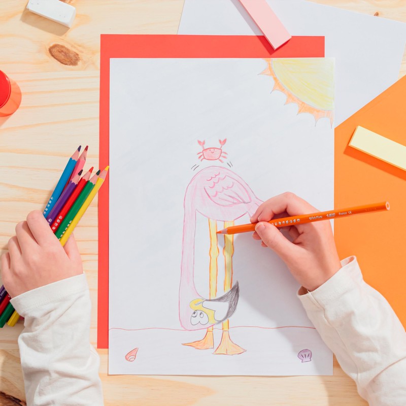 BIC Lápices de Colores Evolution Punta Resistente Sin Astillas Hecho