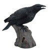 Large 14" Tall Black Raven Crow Bird on Tree Stump