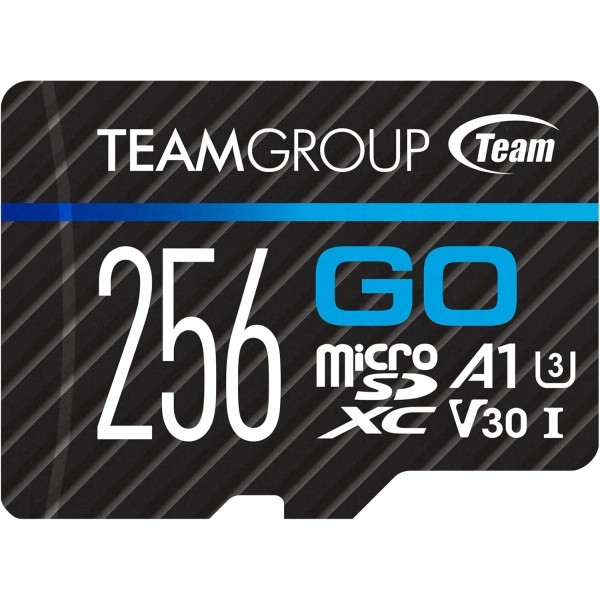 Branded GO Card 256GB Micro SDXC UHS-I U3 V30 4K