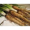 NIKA SEEDS - Vegetable Oat Root Salsify - 100 Seeds