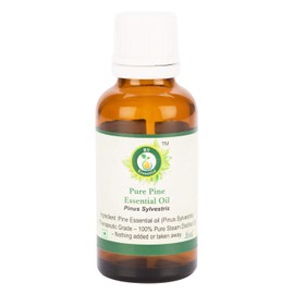 R V Essential Pure Pine Essential Oil 10ml (0.338oz)- Pinus Sylvestris (100% Pure and Natural Steam Distilled)
