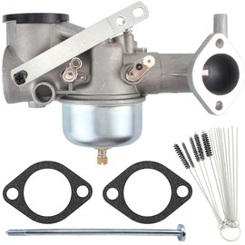 ZAMDOE Carburetor for Briggs & Stratton 190701 191700 190702 192700 190705 190706-2179 190707 193700 Series Engine Replaces 491590 390811 392152 Carb with Gasket