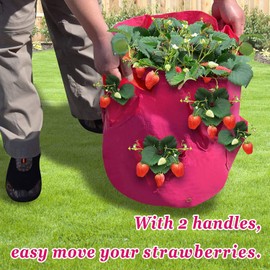 BenefitUSA Strawberry Planting Grow Bags Garden Planter Bags, 1/2 Pack (1)