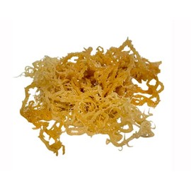 HalalEveryDay | Wildcrafted Irish Sea Moss | 100% Pure All Natural | Vitamin & Mineral Rich | No Preservatives | Golden | 5 Pounds
