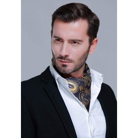 HISDERN Men's Navy Cravats Wedding Floral Ascot with Handkerchief Elegant Paisley Cravat Tie & Pocket Square Set for Business Party