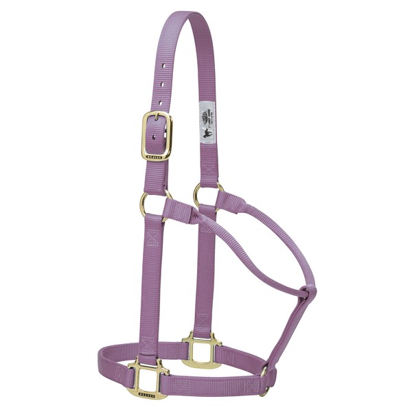 Weaver Leather Original Non-Adjustable Nylon Horse Halter, Average, Lavender