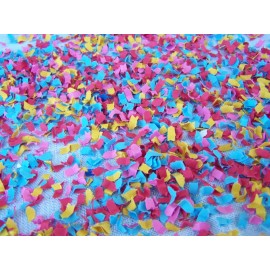 Melaine's Creations Winnie the Pooh party matching confetti | table top scatter 2 cups