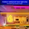 segrass 100Ft Led Rope Lights, Flexible Neon Lights Control with