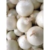 500 Utah White Sweet Spanish Onion Seeds for Planting Heirloom