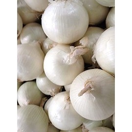 500 Utah White Sweet Spanish Onion Seeds for Planting Heirloom Non GMO 2 Grams Garden Vegetable Bulk Survival Hominy