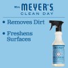 Mrs Meyers Clean Day Multi Surface Cleaner Rain Water Scent