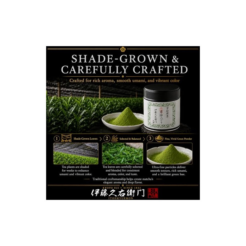 Ceremonial Grade Matcha Green Tea Powder from Kyoto