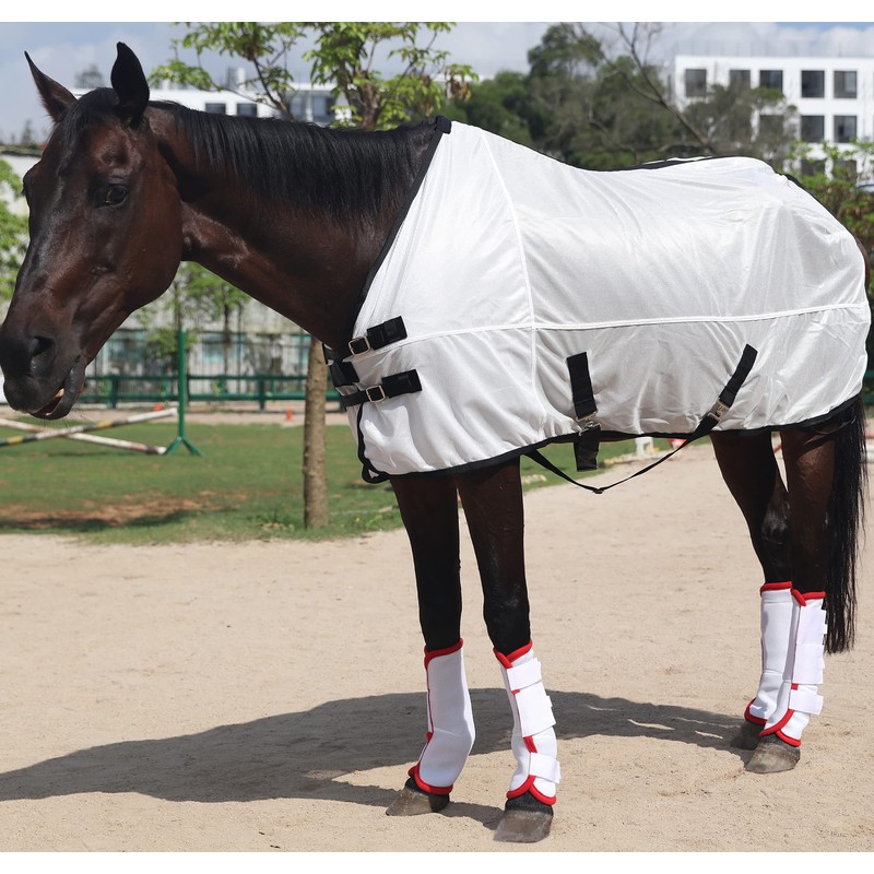 LEAFOREST Horse Fly Boots - Fly Boots Perfect for Horse
