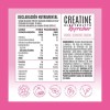 Birdman Fitmingo 510g + Creatina Refresh + Omega 3 +